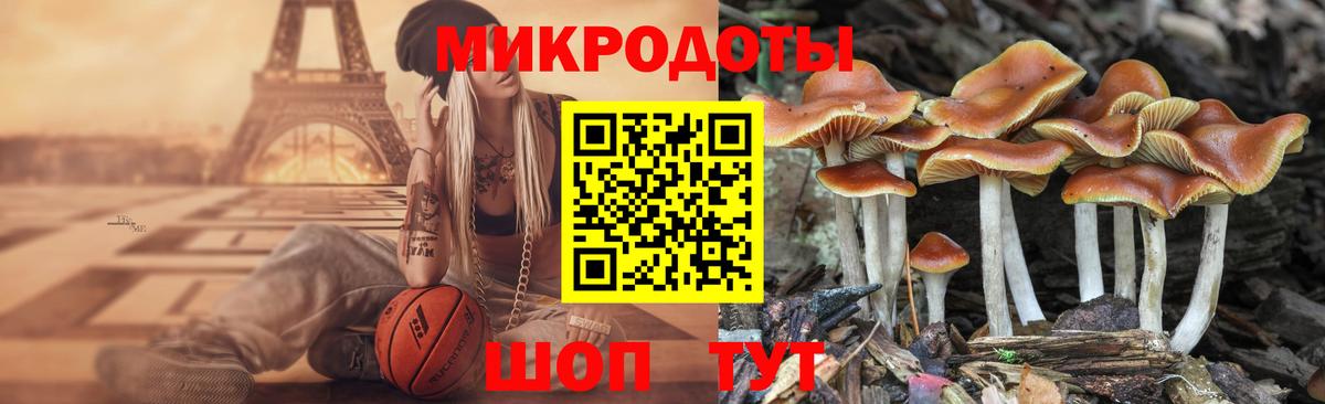 Конаково  Псилоцибиновые грибы мухоморы  Вход с VPN 